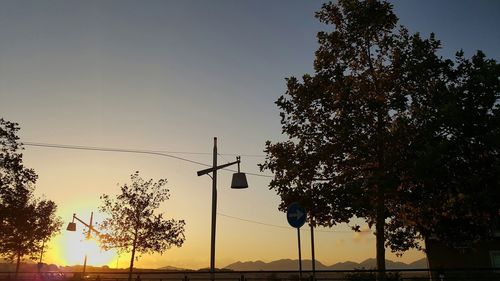 Silhouette of trees at sunset