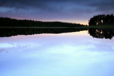 Reflection of trees in calm lake