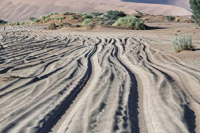 Tire tracks on sand dune