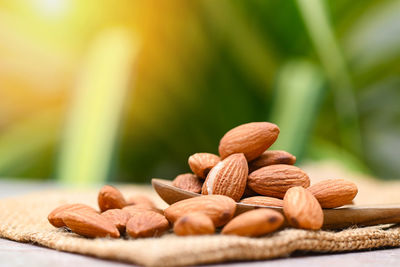 Close-up of almonds