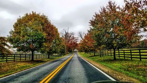 Road amidst trees against sky