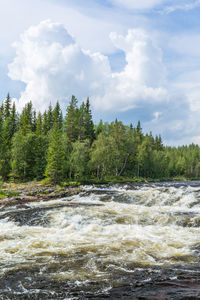 Scenic view of river flowing in forest against sky