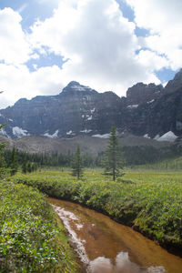 Scenic view of landscape with mountains in background