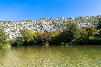 Scenic view of river by trees against blue sky