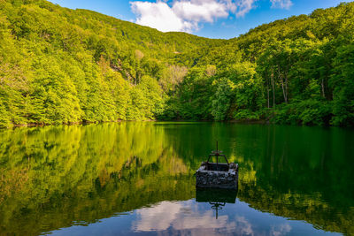 Scenic view of lake by trees against sky