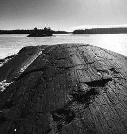 Driftwood on beach against sky