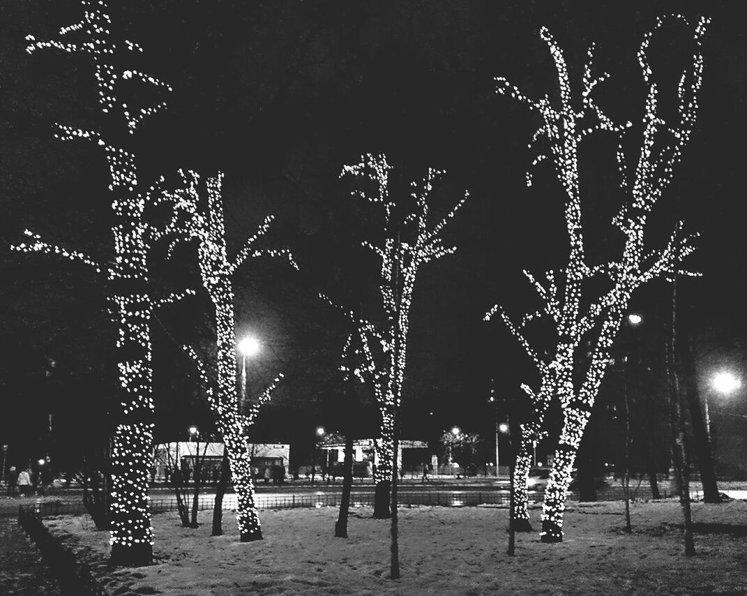 night, illuminated, celebration, tree, lighting equipment, decoration, christmas, arts culture and entertainment, christmas decoration, low angle view, light - natural phenomenon, firework display, glowing, outdoors, sky, event, street light, firework - man made object, branch, christmas lights