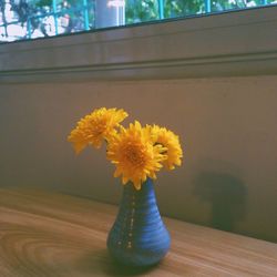 Close-up of yellow flower