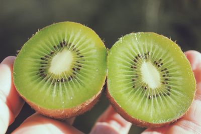 Close-up of person holding kiwi
