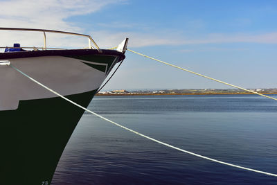 Sailboat sailing in sea against sky