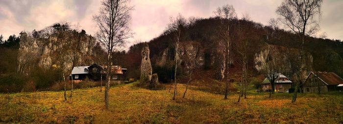 Panoramic shot of trees on field against sky