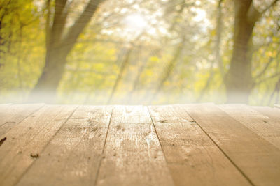 Surface level of wooden table against trees in forest