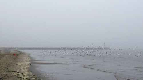 Scenic view of sea