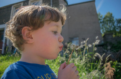 Close-up of boy holding plant