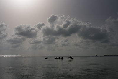 Silhouette birds swimming on sea against sky during sunset