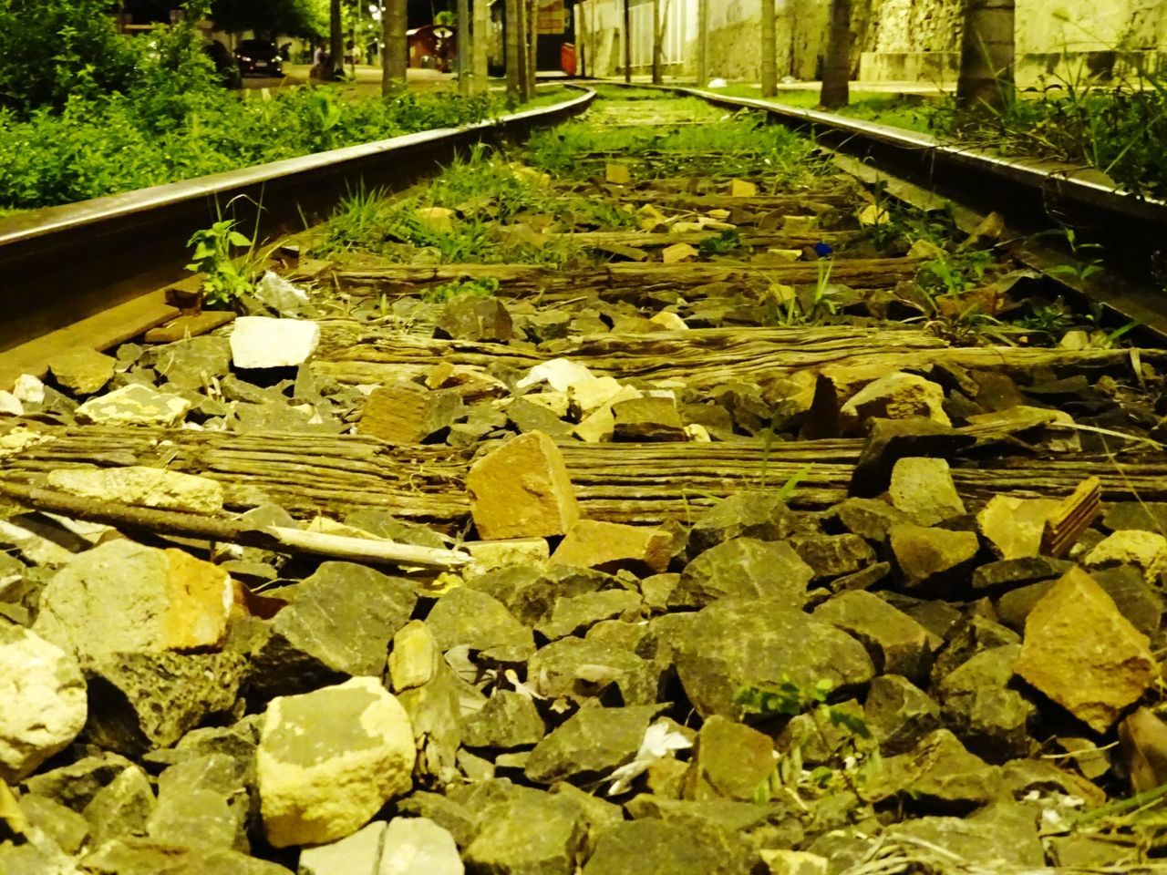 leaf, high angle view, green color, the way forward, leaves, nature, plant, diminishing perspective, growth, day, railroad track, stone - object, field, outdoors, transportation, no people, tranquility, pond, vanishing point, water