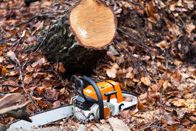 High angle view of chainsaw and tree stump on leaves covered field during autumn