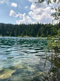 Scenic view of lake in forest against sky