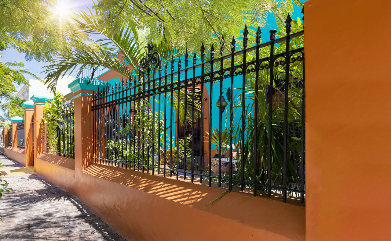 plant, architecture, nature, tree, palm tree, sunlight, tropical climate, no people, built structure, day, outdoors, footpath, sky, green, building, gate, building exterior, security, travel destinations, growth, fence, metal, protection