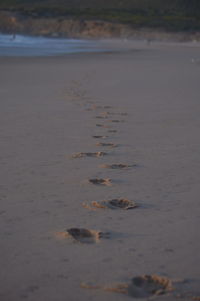 Close-up of sand on beach against sky