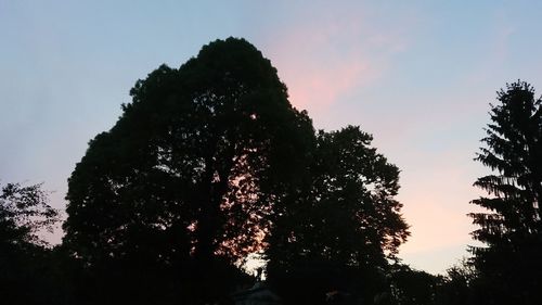 Low angle view of silhouette trees against sky at sunset