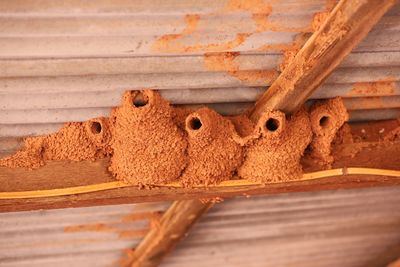 Close-up of wooden container