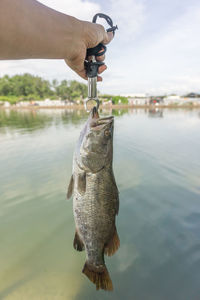 Close-up of hand holding fish against river