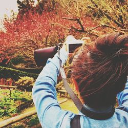 Low angle view of person standing on tree trunk