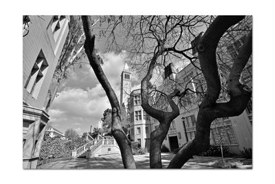 Low angle view of bare trees and building against sky