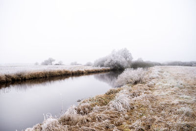 Scenic view of lake against clear sky during winter