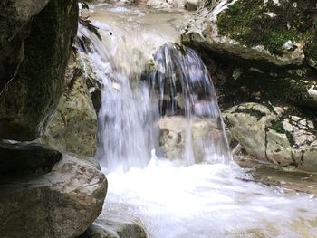 Scenic view of waterfall in forest