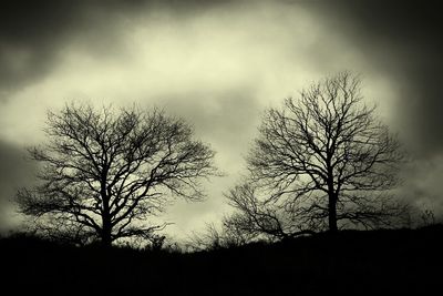 Silhouette of bare tree against cloudy sky