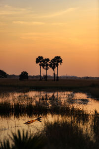 Silhouette trees by lake against sky during sunset