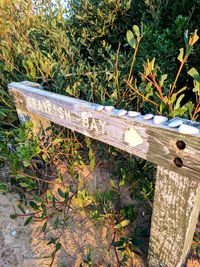 High angle view of wood