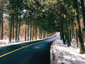 Empty road amidst trees in forest