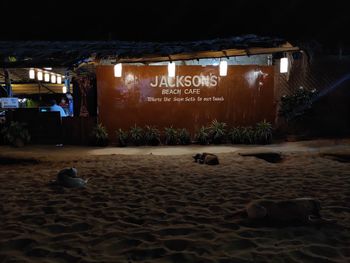 View of birds on the beach