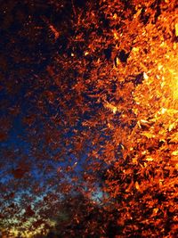 Close-up of illuminated lights against sky at night