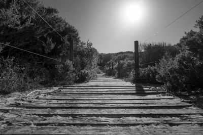 Walkway amidst trees against clear sky