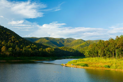 Scenic view of lake by trees against sky