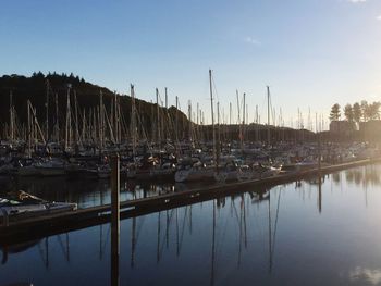 Sailboats in marina in front of calm sea against clear sky