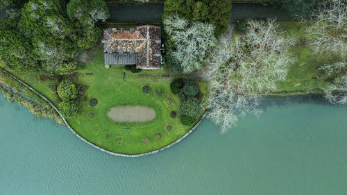 High angle view of plants by lake