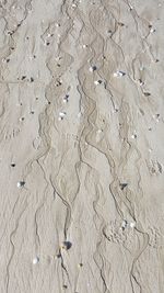 High angle view of footprints on beach