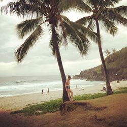 Palm trees on beach