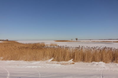 Scenic view of land against clear sky during winter