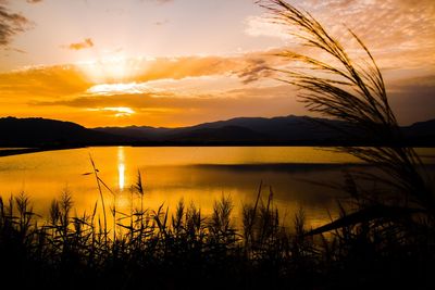 Scenic view of lake against orange sky