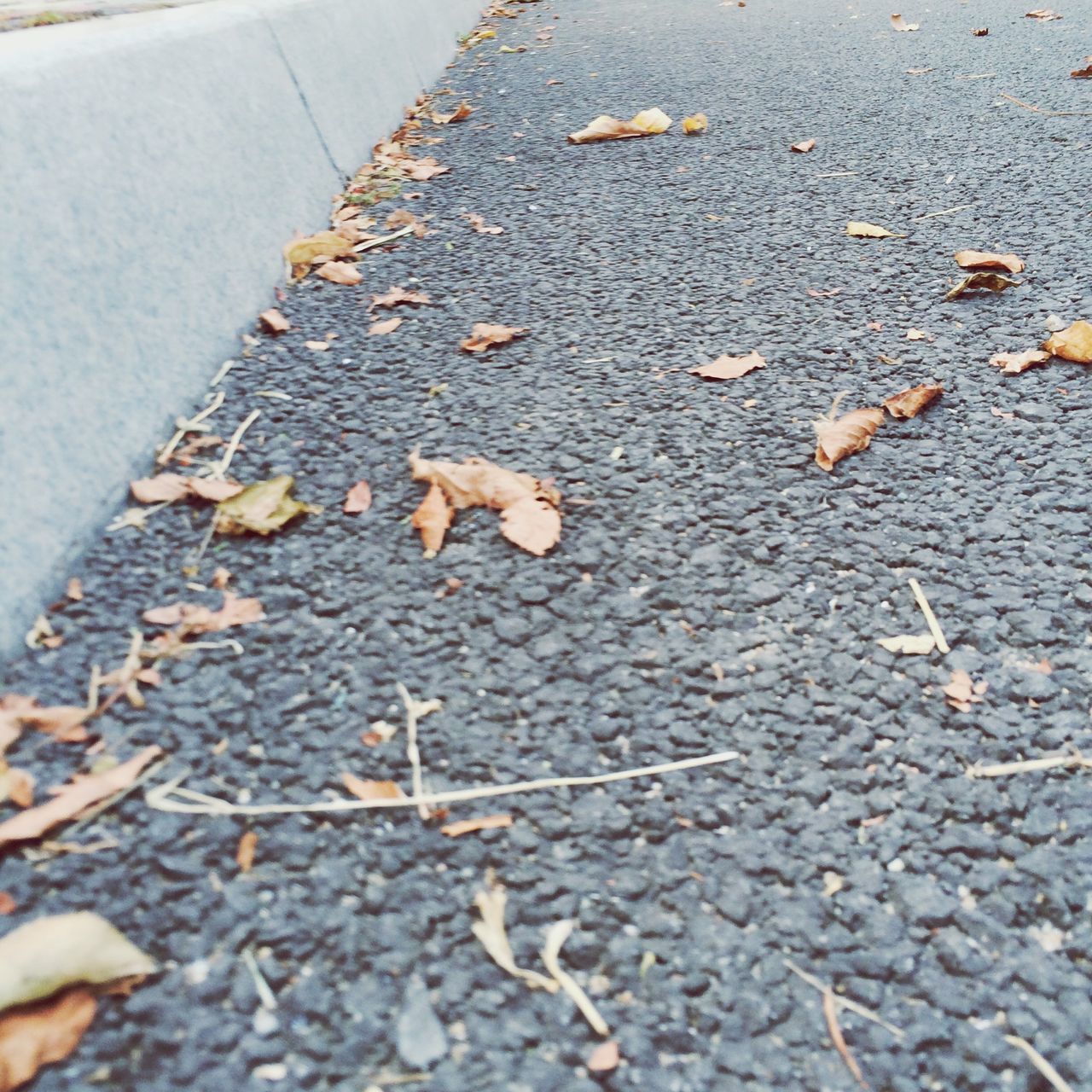 autumn, leaf, asphalt, street, change, high angle view, dry, fallen, season, leaves, road, transportation, road marking, falling, outdoors, day, sidewalk, surface level, ground, no people