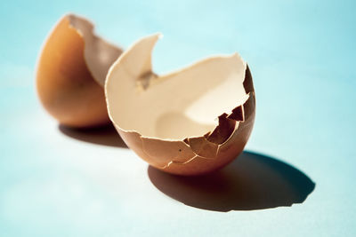 Close-up of broken egg against white background