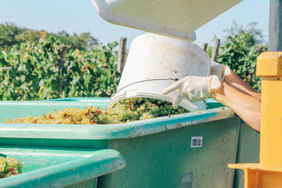 Cropped image of person holding bread