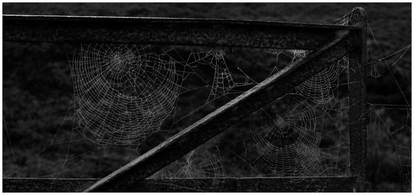 Close-up of spider web on metal