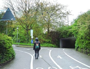 Rear view of person standing on street against trees